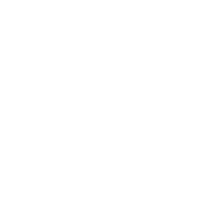 freeflylogo_white_Original